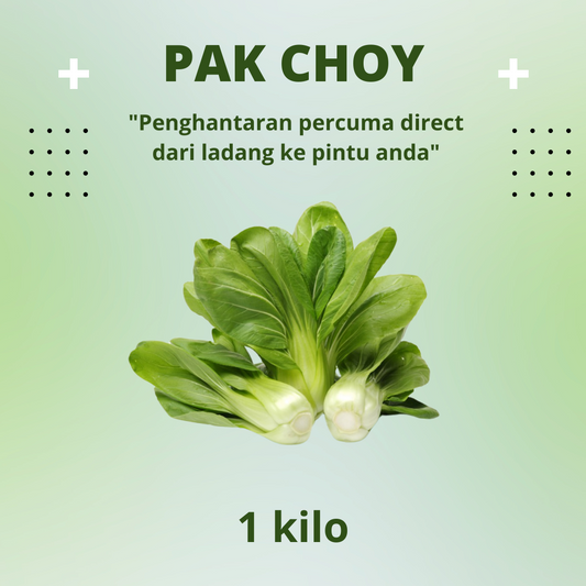 Pak Choy Sekilo ( 1 Kg )